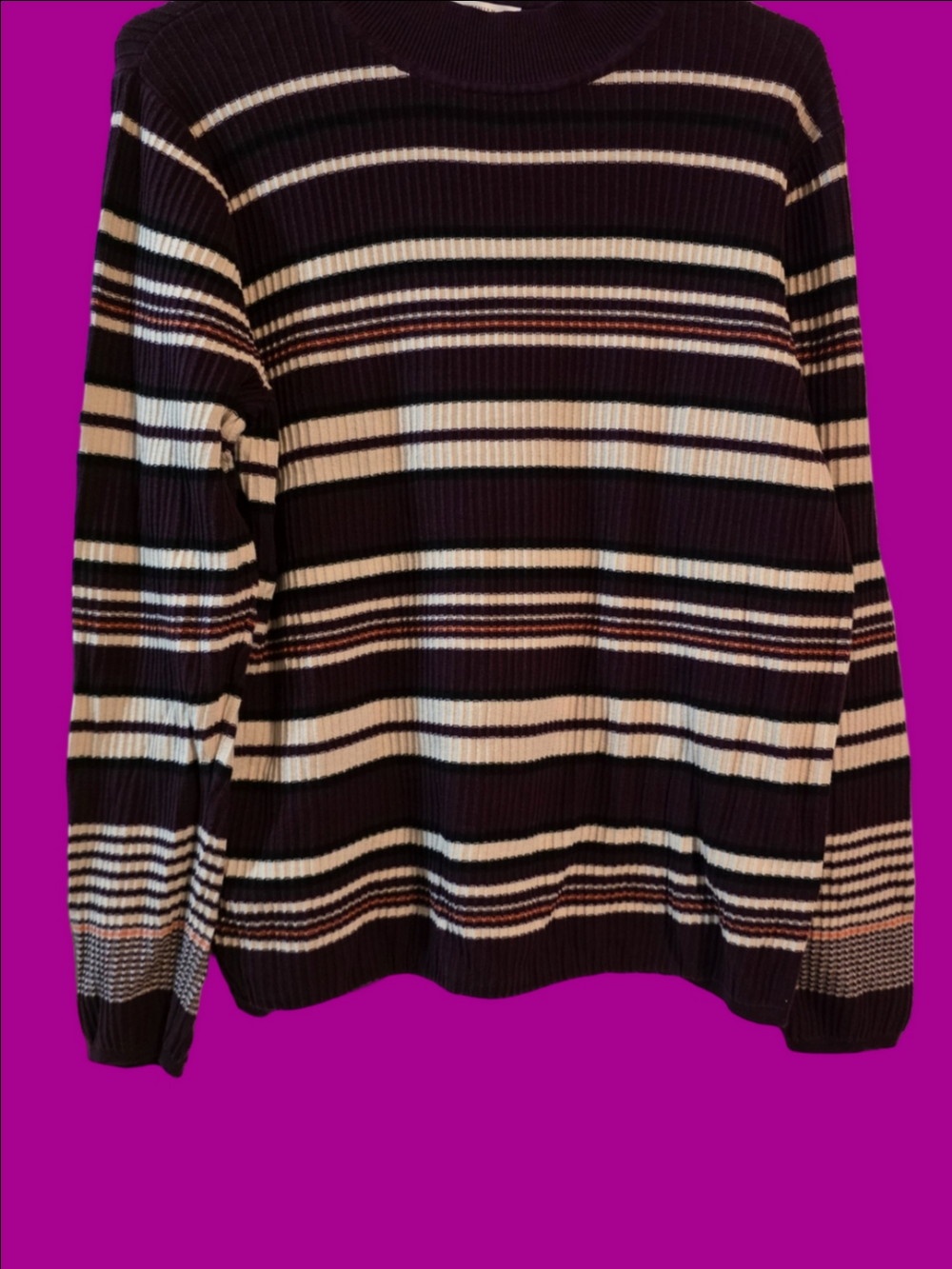 4/$67 Deal! Northern Reflections Striped Crewneck Sweater